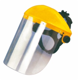 Protection Mask